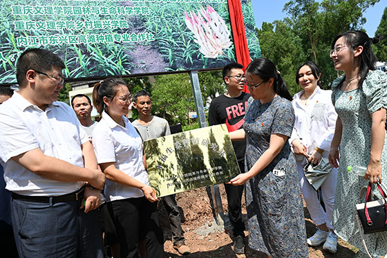 5重庆文理学院在该基地授牌建立永福生姜种植研究站.jpg