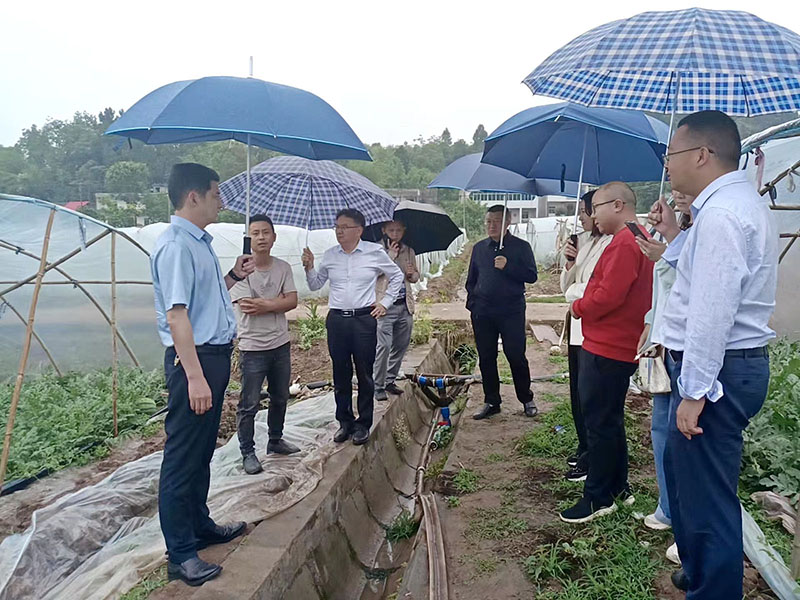 县人民政府王涛副县长(左一)在县农业农村局局长唐金声(左五)和象山党委书记刘黎(右四)，镇长黄俊淞（右一）陪同下指导大英宇婷家庭农场.jpg