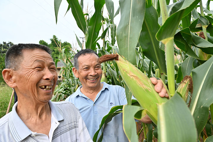 3当地村民高兴地查看撂荒地上长出的丰收硕果.jpg