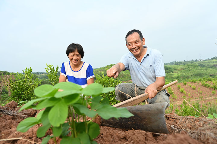 4看着长势喜人的大豆，当地村民开心地笑了.jpg