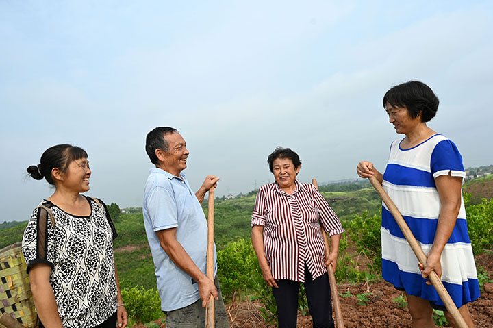 5当地村民正在交流复合种植心得.jpg