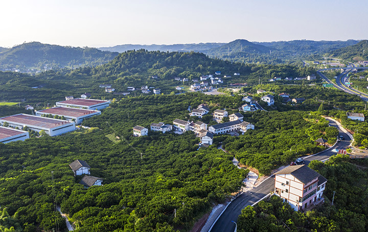 鸟瞰四川省广安市广安区龙安乡，绿色柚林与厂房、民居、公路及远山构成一幅美丽的乡村画卷  张国盛 摄.JPG