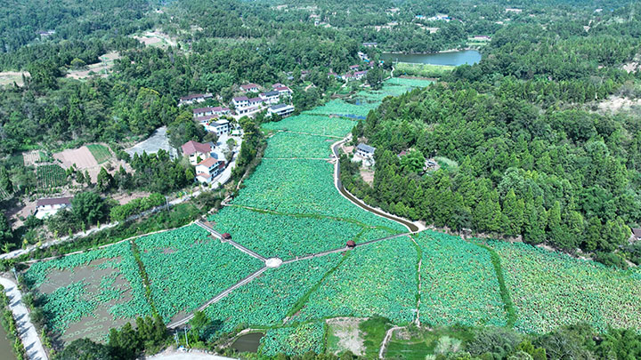 杨岭村图片