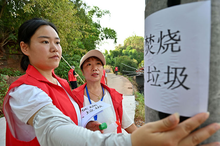 5志愿者在林间张贴宣传标语.jpg