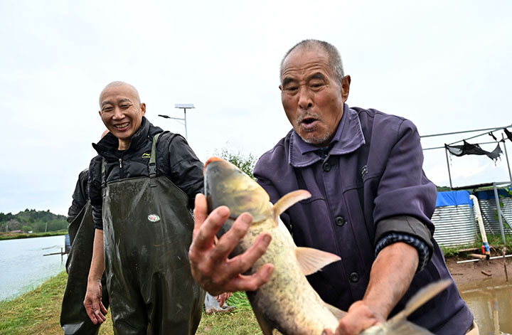 2当地村民共享“稻鱼”丰收的快乐.jpg