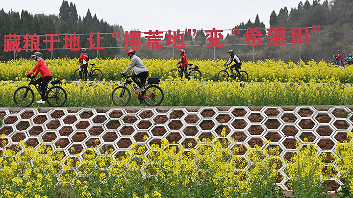 图3  3月4日，在内江市东兴区田家镇火花村，市民在乡间游玩.jpg