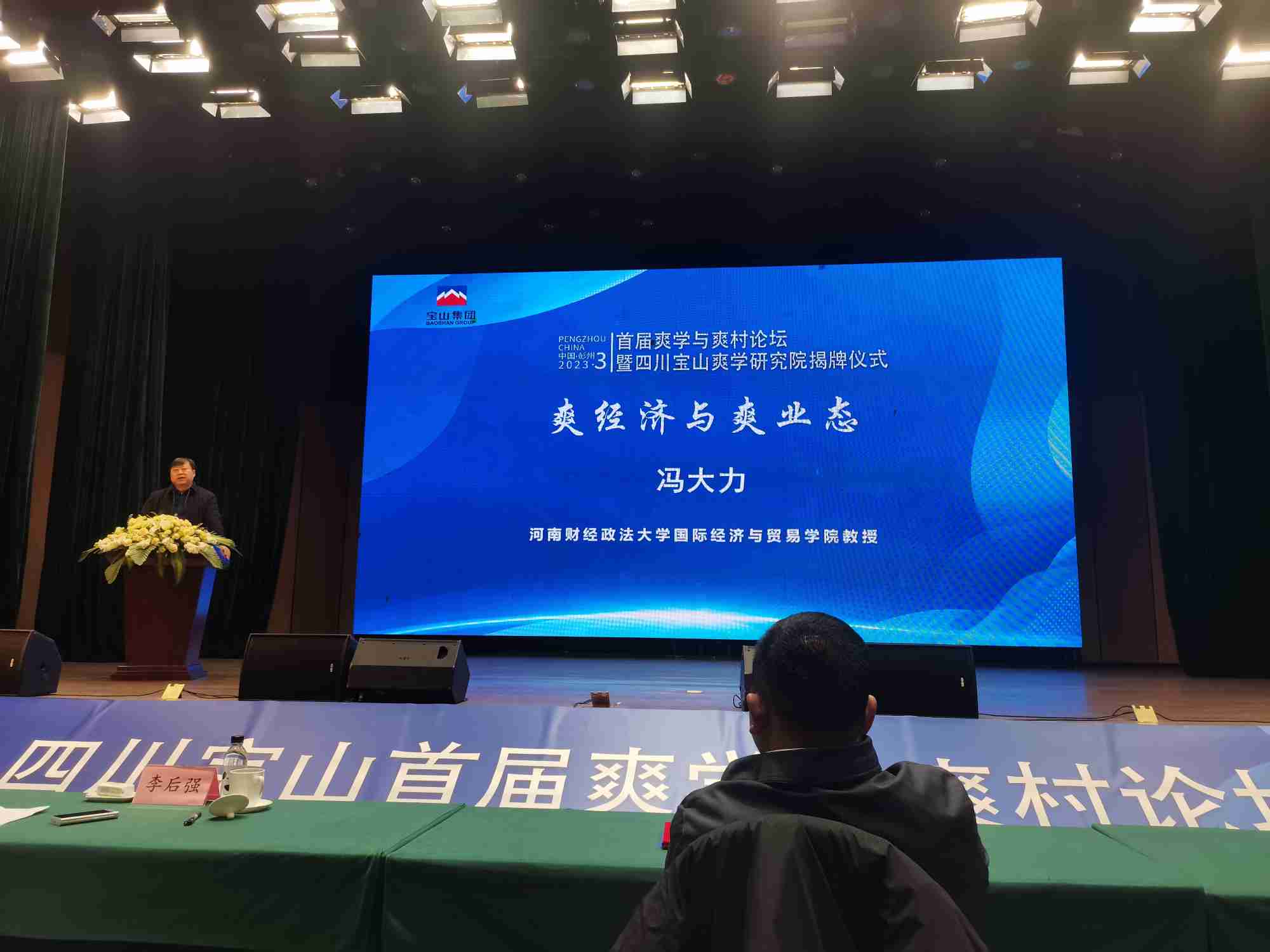 河南财经政法大学国际经济与贸易学院教授冯大力演讲(1).jpg