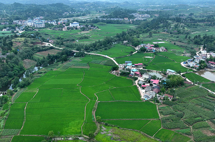 图4  6月19日，航拍内江市东兴区石子镇七星村美景。.jpg