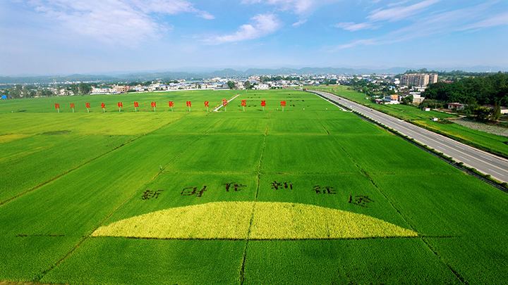 4四川农业科技创新转化示范基地  广汉市发展和改革局供图.jpg