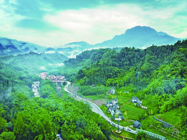 远瞰雅安雨城区十里芳菲·野玫瑰村.jpg