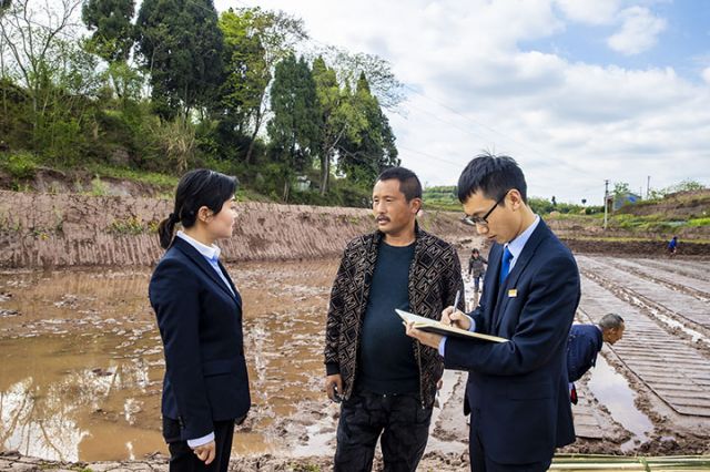 5仁寿农商银行员工在田间地头开展金融大走访活动.jpg