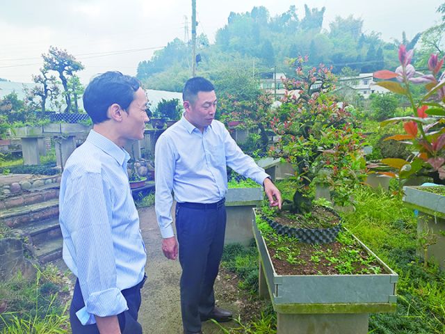 泸州农商银行党委书记、董事长王勇(右)深入农户调研融资服务情况.jpg