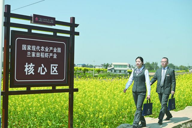 走访现代农业产业园区.jpg