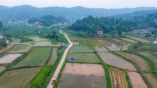 图3  俯瞰秧田风景  吴坤忠 摄.jpg