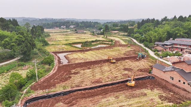 图3  新华村正在平整中的土地  潘政吉  摄.jpg