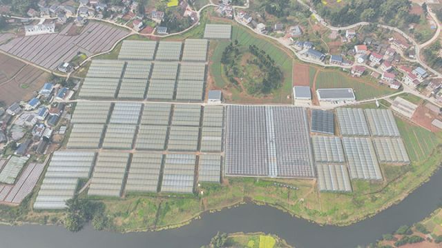 图2  真南村蔬菜示范基地鸟瞰图  易奎西摄.jpg