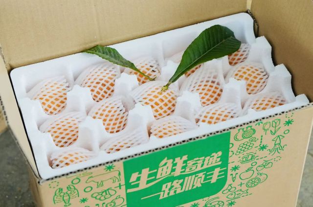 微信图片_20250527144815.jpg
