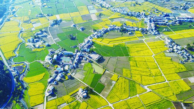 俯瞰睦坝镇现代粮油产业园区  蓬安县发展改革局供图.jpg