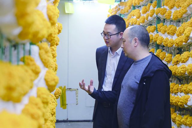 小微机制专班走访了解食用菌生产企业资金需求情况.jpg