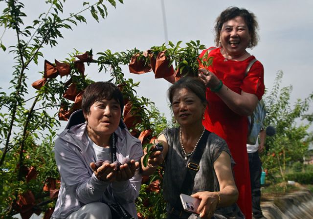 图3.JPG