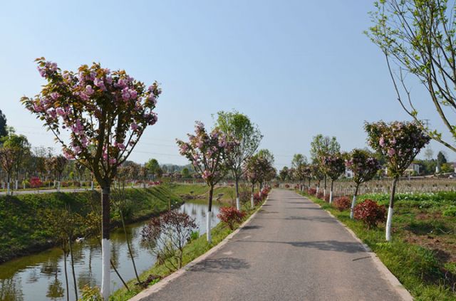 图2  河道景观.jpg