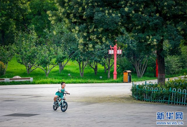 图5 一名小朋友在硝河游园内骑车.jpg