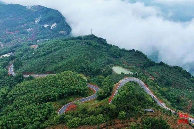 图2  “竹海雾崖”上的农村公路。  廖胜春 摄.jpg