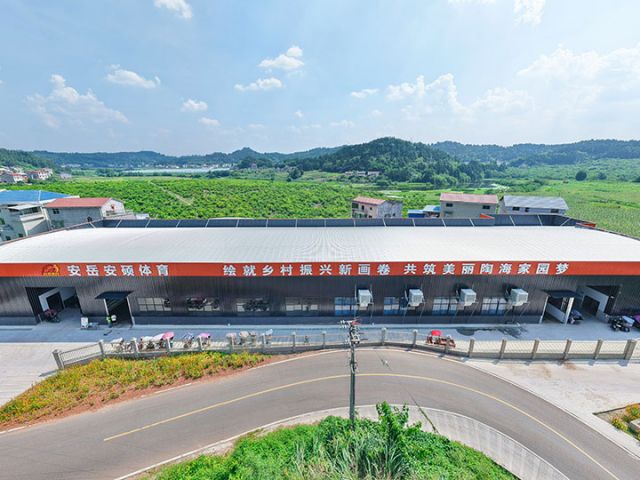 图3  安岳安硕体育卫星工厂。潘政吉  摄.jpg