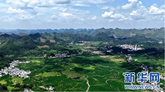 图1  俯瞰广西南丹县芒场镇巴平梯田巨幅稻田画。高东风 摄 拷贝.jpg