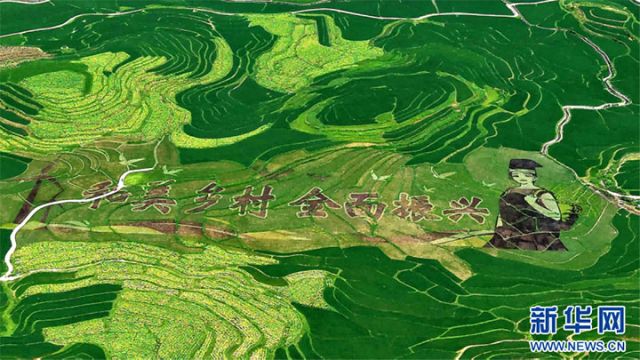 图4  俯瞰广西南丹县芒场镇巴平梯田巨幅稻田画。高东风 摄 拷贝.jpg