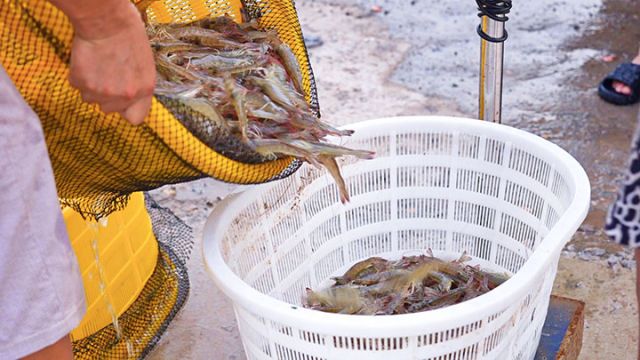图2  鲜活的“内陆海鲜”。袁芳  摄.jpg