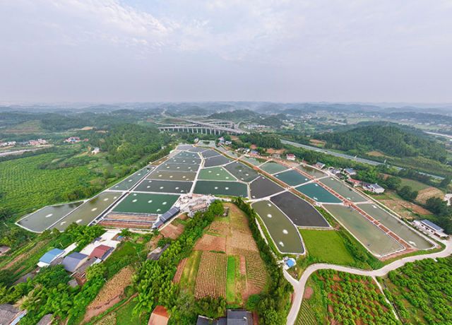 图5  闲置鱼塘蜕变川渝“蓝色粮仓”。潘政吉  摄.jpg