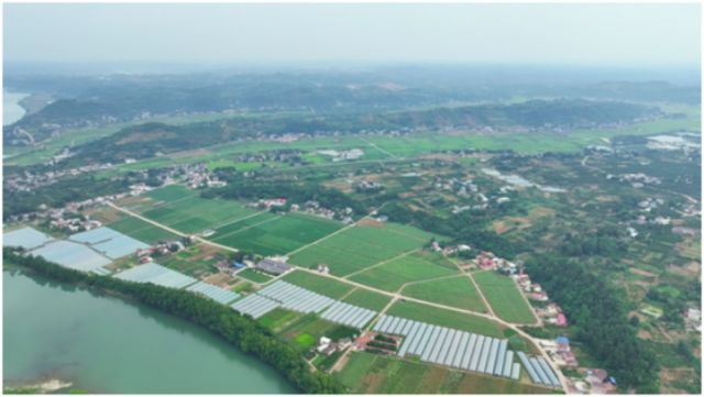 图1  马蹄湾园区.jpg