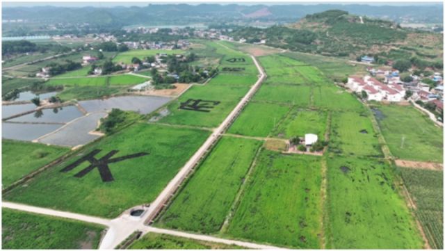 图4  马蹄湾园区.jpg