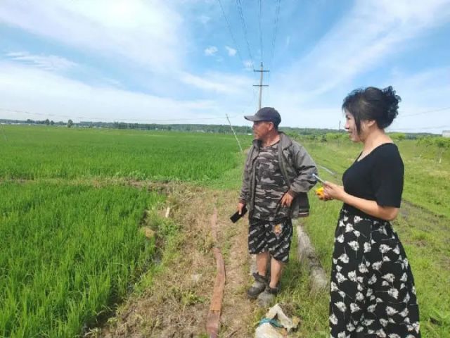 图2  明水县农业技术推广中心工作人员（右一）在查看水稻长势情况（高伟 摄）.jpg