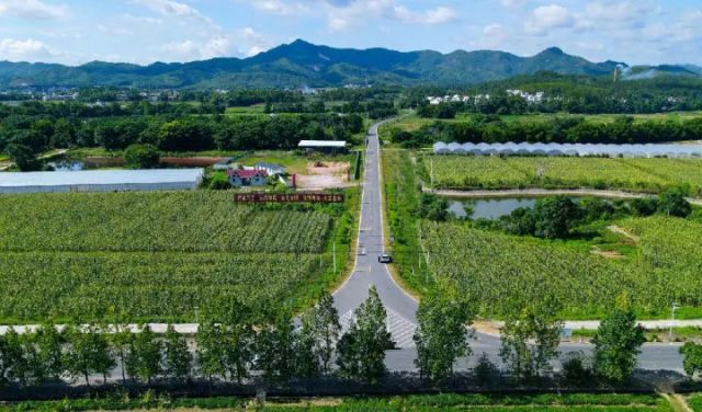 图1  赣州市农村公路一景 （李铭 摄）.jpg