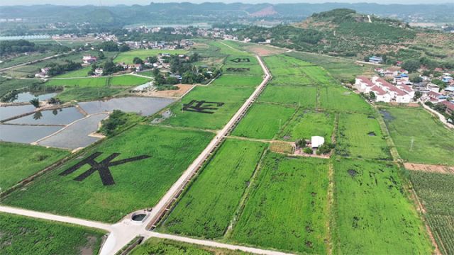 图1  马蹄湾粮经复合现代农业园区 拷贝.jpg