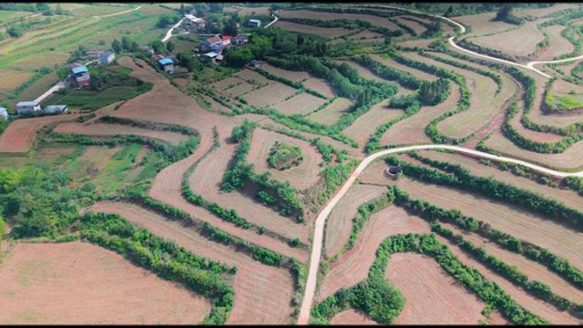 图4  丹山镇粮食产业.jpg