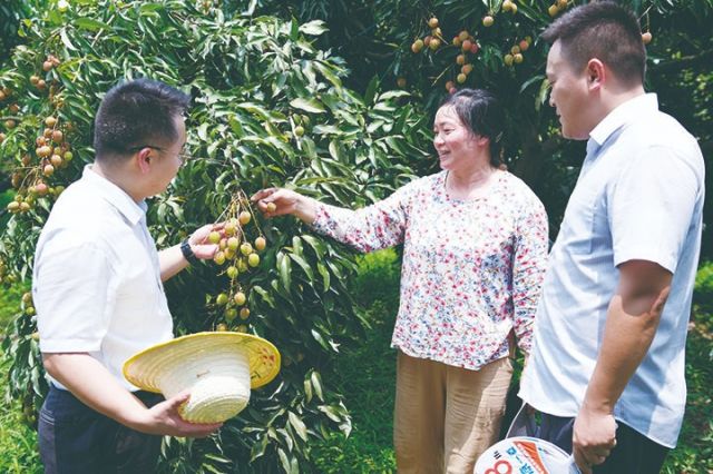 为客户定制金融服务方案.jpg