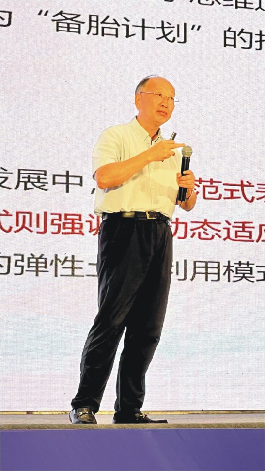 113.jpg