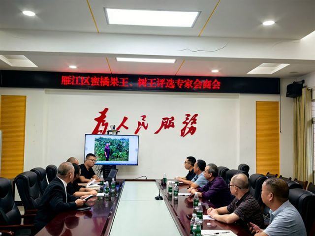 图3  评比现场.jpg