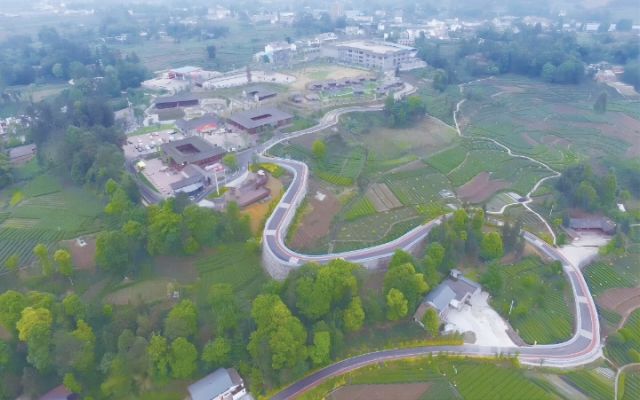银行信贷支持茶叶现代农业产业园建设.jpg
