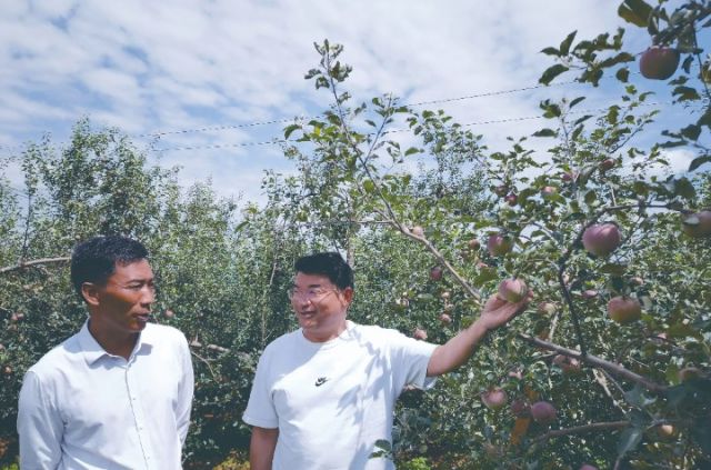 凉山农商银行员工走访苹果园农户.jpg