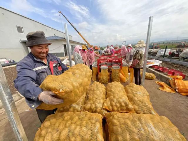 1760086947746168.jpg 图2 丰收的喜悦 申维祖 摄.jpg