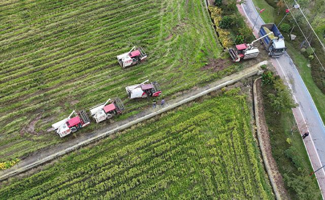 图2  农机手正在排队等候再生稻装车（无人机照片）.jpg