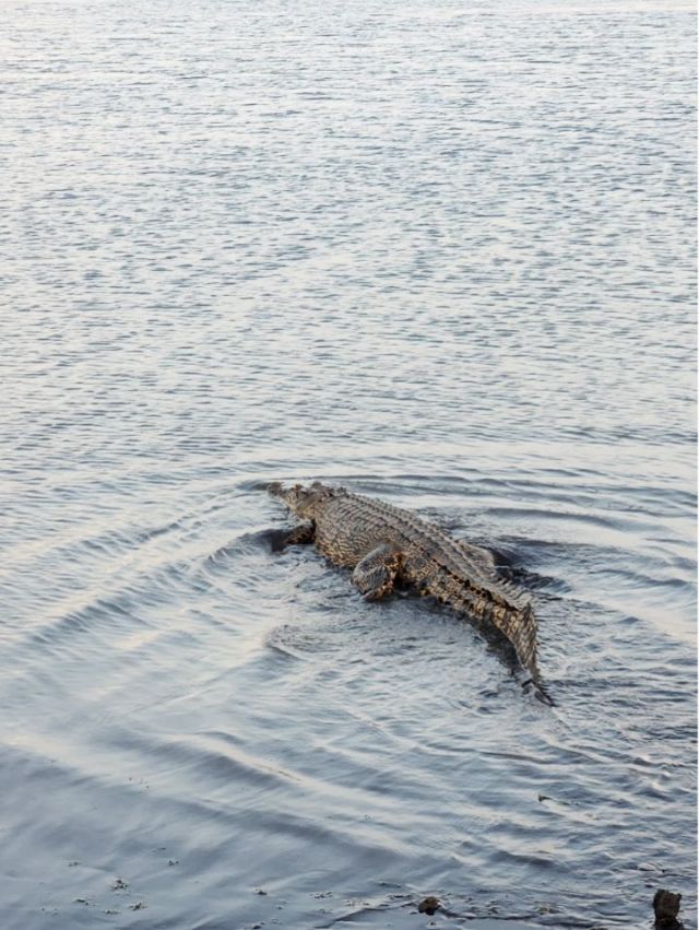 1762161365782978.jpg 图片8.jpg