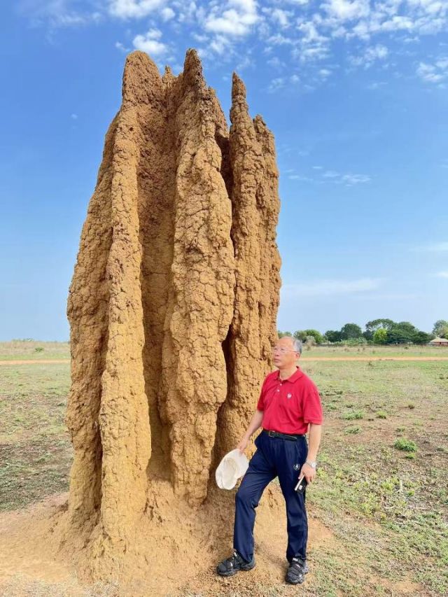 1762161442410430.jpg 图片17.jpg