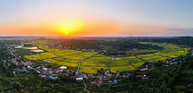 图1  保和镇马蹄湾粮经复合现代农业园区.jpg