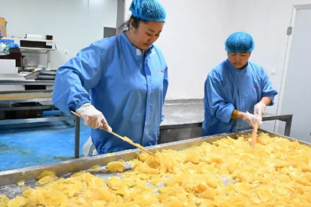 图1  山东省青岛市即墨区移风店镇女儿村的农民在生产车间加工姜糖（张涛 摄）.jpg