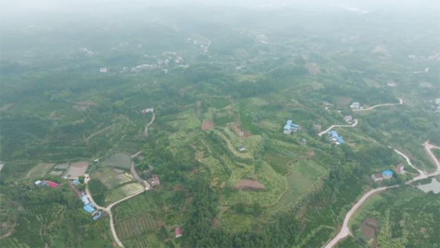 图1  丰裕镇同意村 拷贝.jpg